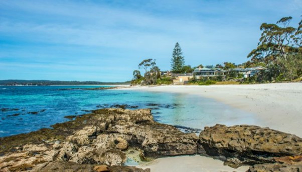 Dolphin Watching at Jarvis Bay